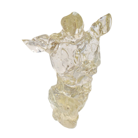 Crystal Torso