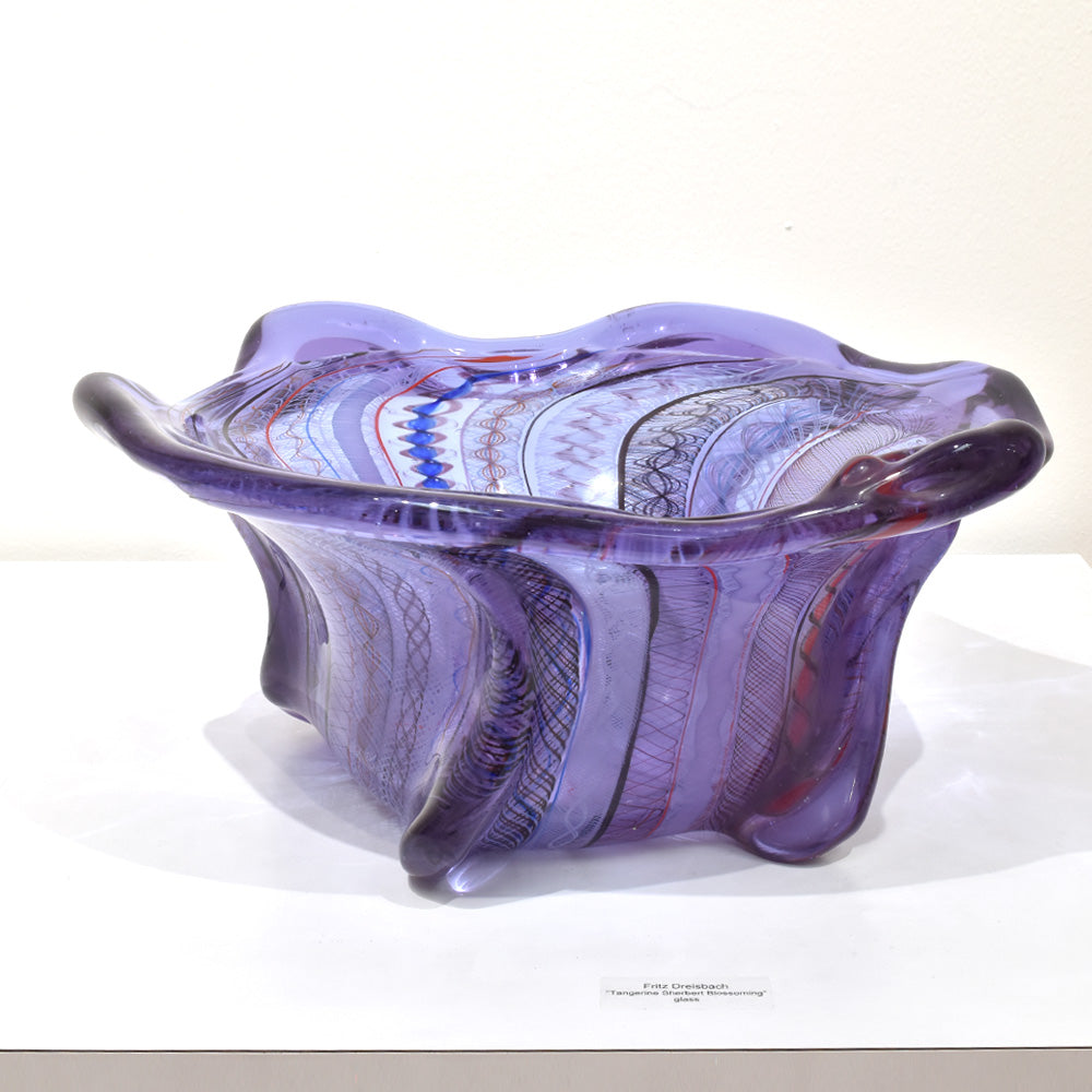 Undulating Violet Disk Flower