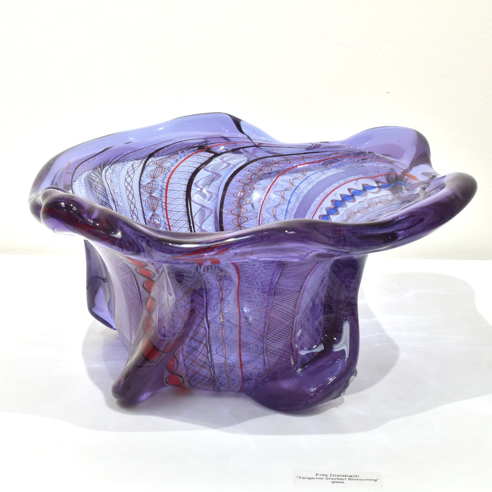 Undulating Violet Disk Flower