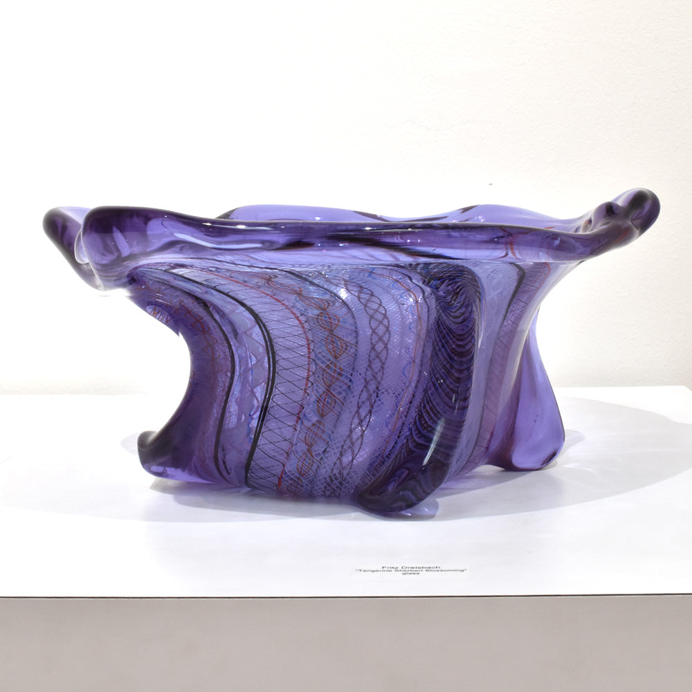 Undulating Violet Disk Flower