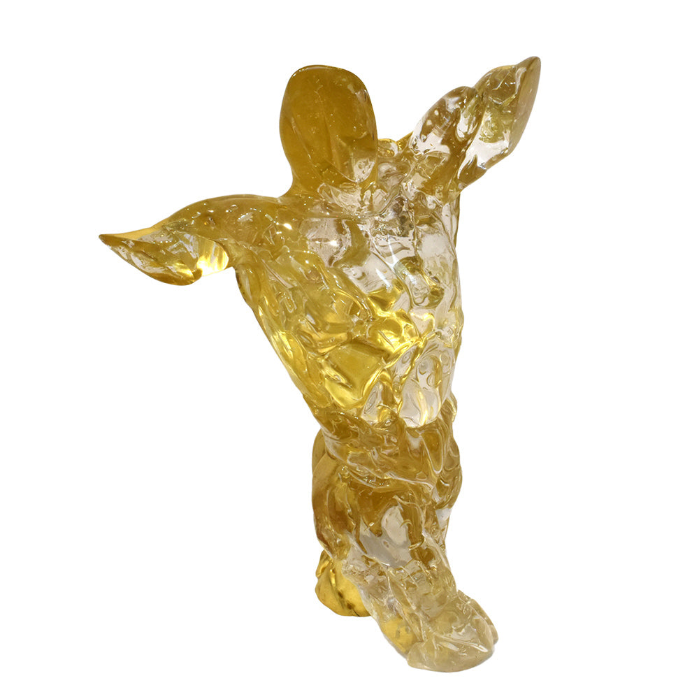 Gold Torso