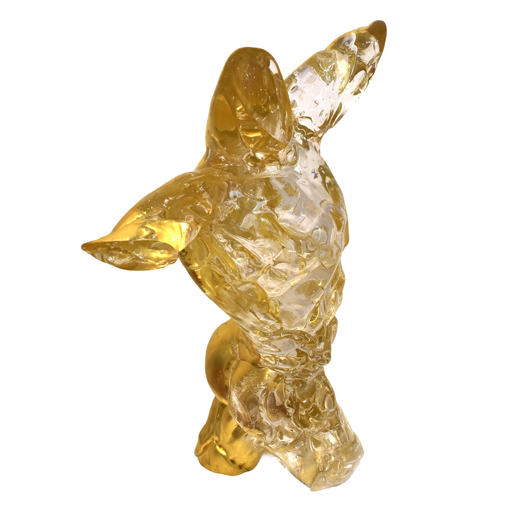 Gold Torso