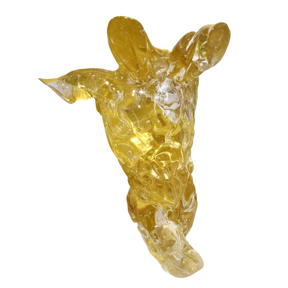 Gold Torso
