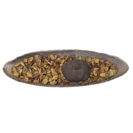 Dream Vessel to the Underworld